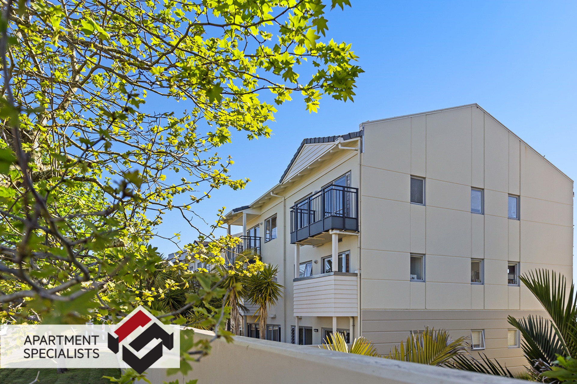 19 | 71 Spencer Road, Albany | Apartment Specialists